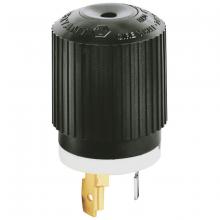 Bryant Electric, a Hubbell affiliate 3331 - LKG PLUG, 3P3W, 30A 250V